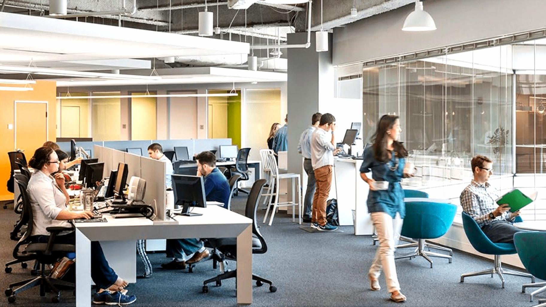 Professioneller Austausch und Netzwerkentwicklung